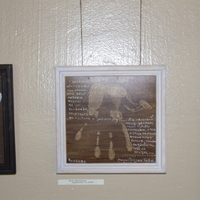 DSCF2892.JPG