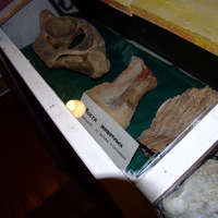 DSCF8742.JPG