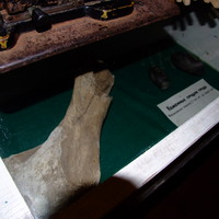 DSCF8743.JPG