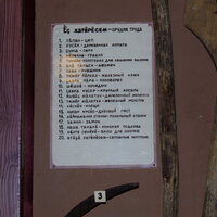 DSCF8764.JPG